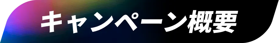 キャンペーン概要