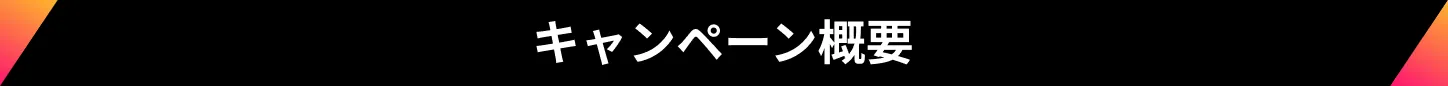 キャンペーン概要